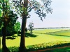 't Roegwold, Slochteren