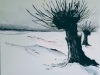 Winterwilg